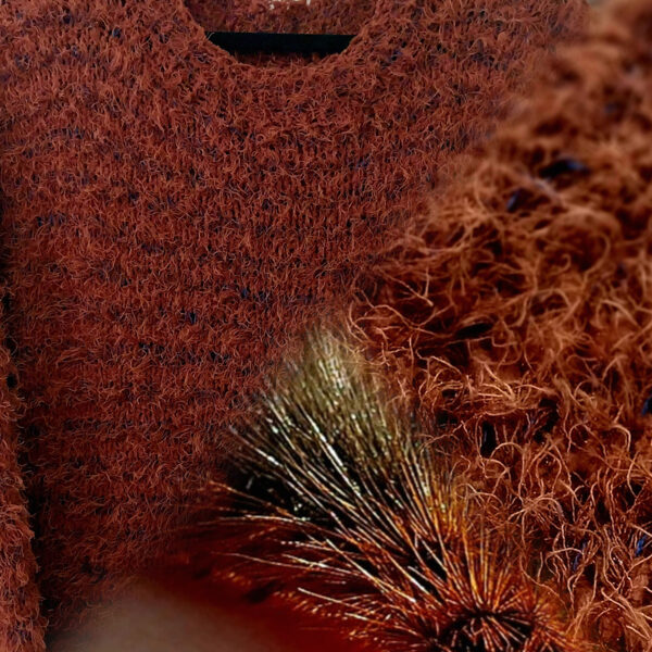 Brūnais Lācītis ( Arctia caja larva)