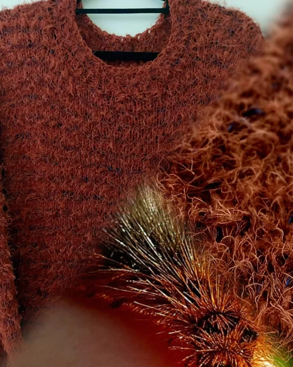 Brūnais Lācītis ( Arctia caja larva)